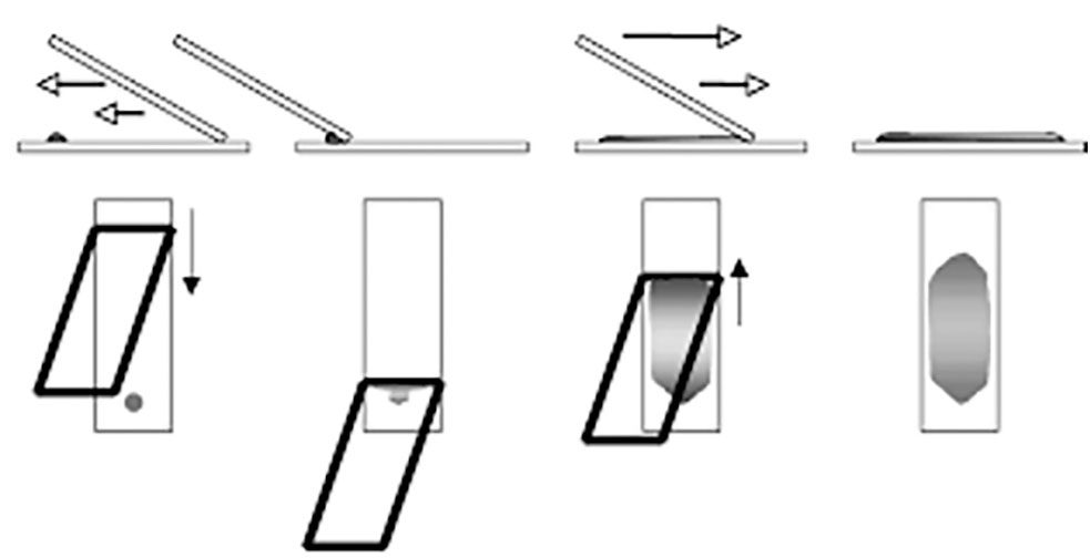 LABMAIS-EXAMES-EXTENSAO-SECTION-01